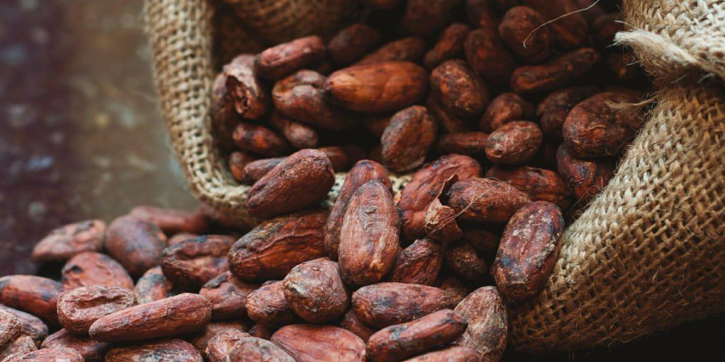 aplicacion cacao 1|